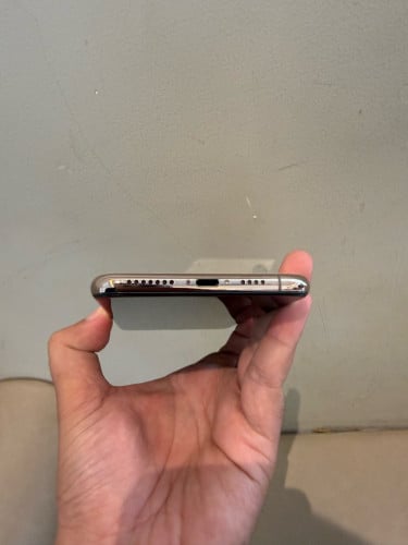 Xs Max 256g scan