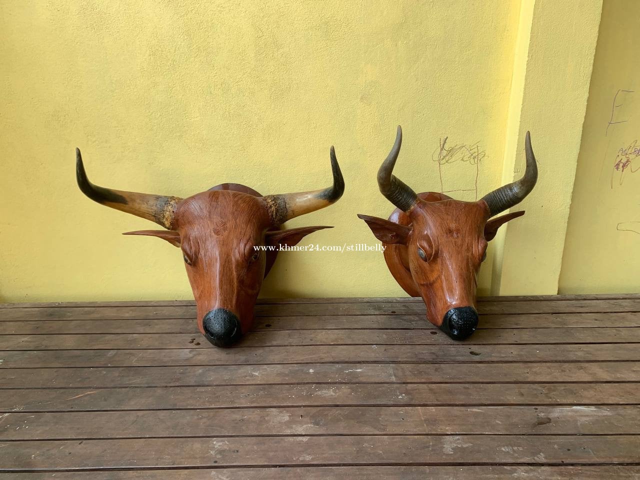 ស្នែងកន្សោងមួយគូរ