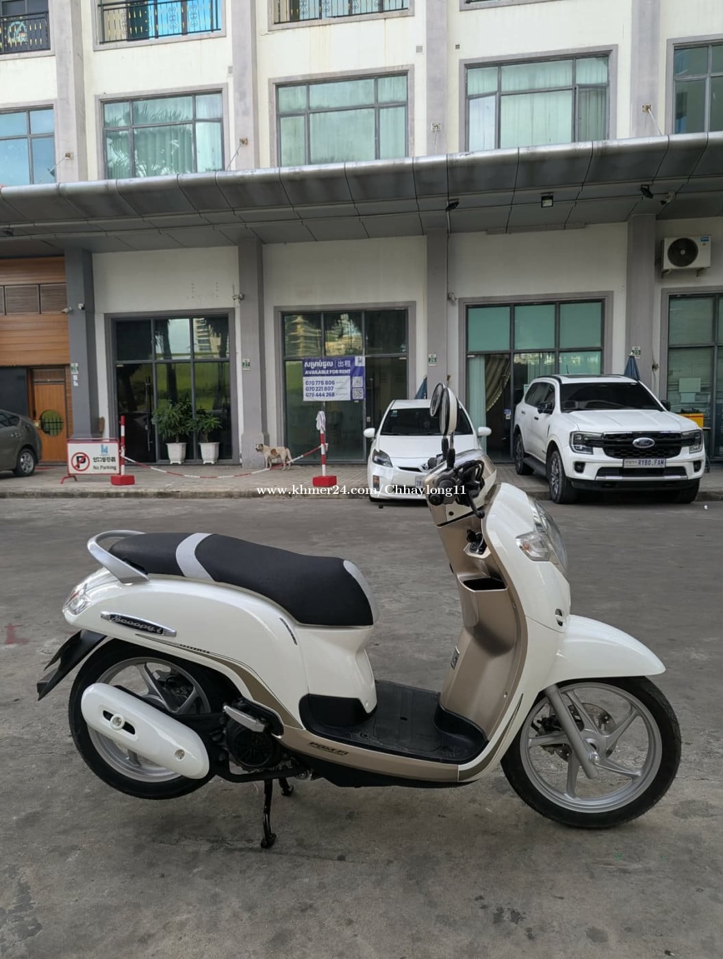 Honda Scoopy