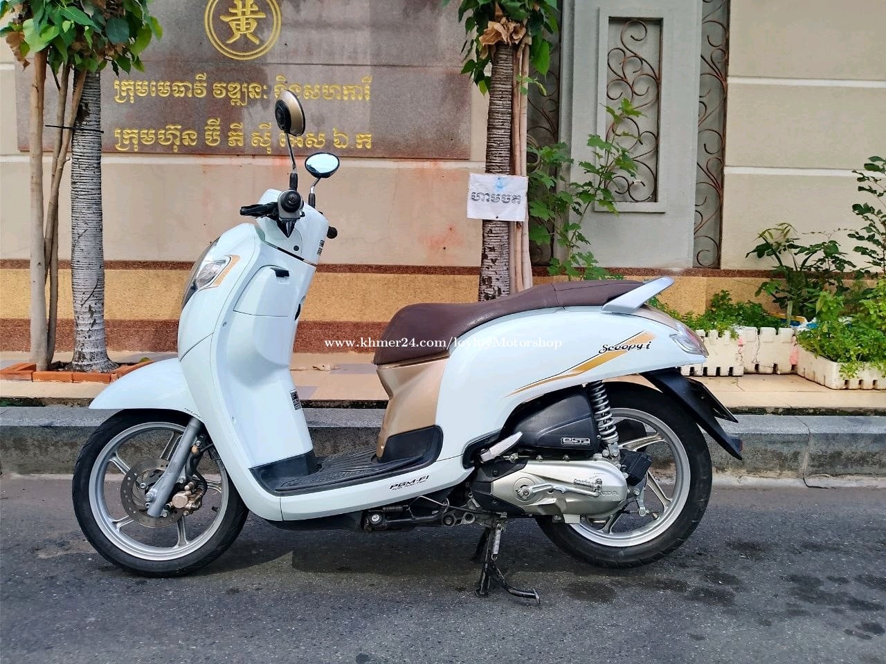 Honda scoopy