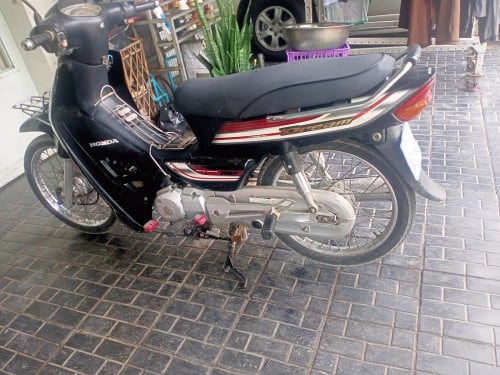 មានកាតគ្រីត្រឹមត្រូវ