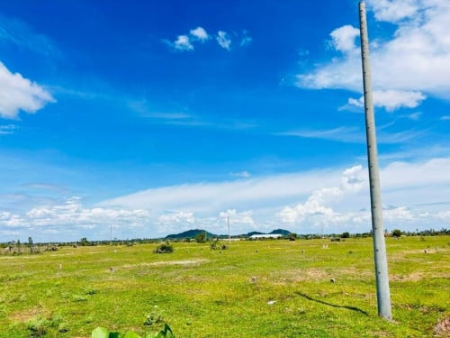 ដីលក់