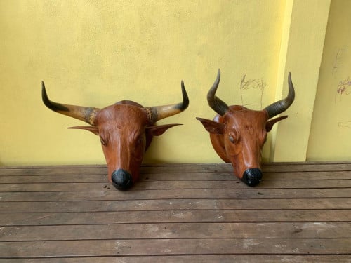 ស្នែងកន្សោងមួយគូរ