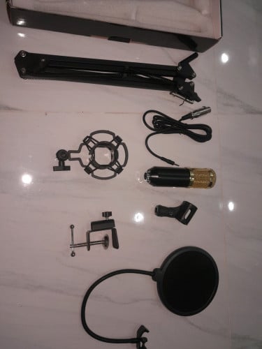 មីក្រូហ្វូន