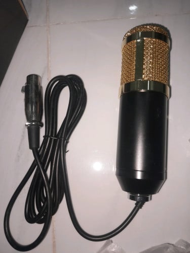 មីក្រូហ្វូន