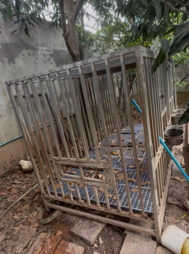 ទ្រុងឆ្កែ1.2 x 2.4m