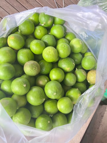 ក្រូចឆ្មាខ្មែរ100%ដើមខ្លួនឯង