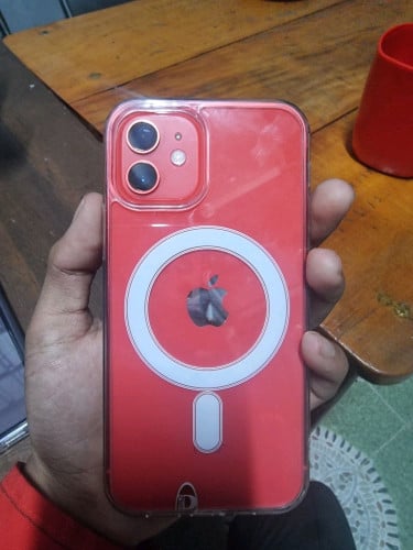 មាន12ចំនួន2ដើម