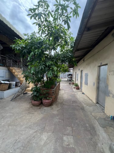 ដីផ្ទះសម្រាប់លក់ មានចំណូលបន្ទប់ជួលស្រាប់ មាន 25 បន្ទាប់