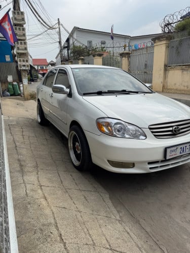 លក់ Corolla 2003 តម្លៃចរចារ ចាប់អារម្មណ៏ទាក់ទងមក