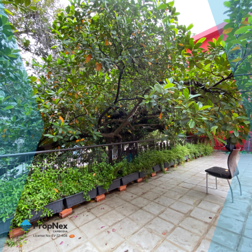 🌿🏢 ដី និង អគារសម្រាប់ជួល | Cheap Rent | Office / Retail | First Come First Serve