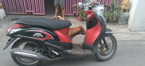 230$-2013