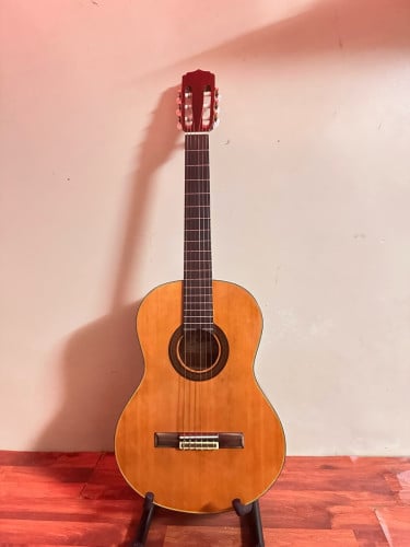 Classical brand Aria A-20