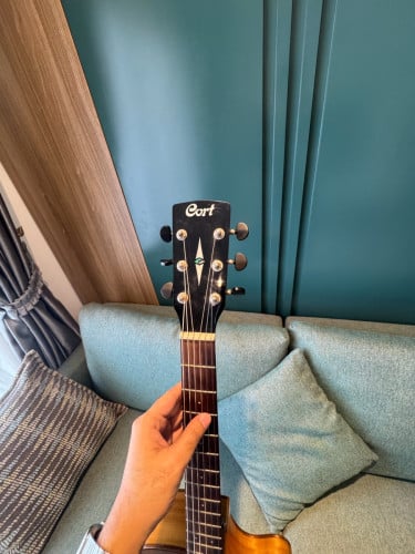 Cort SFX Myrtlewwod Guitar 300$