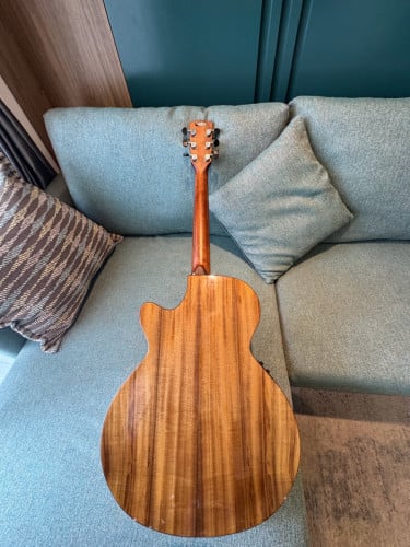 Cort SFX Myrtlewwod Guitar 300$