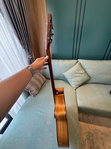 Cort SFX Myrtlewwod Guitar 300$