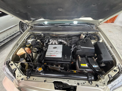 Highlander 03 limited ប៉ុង1