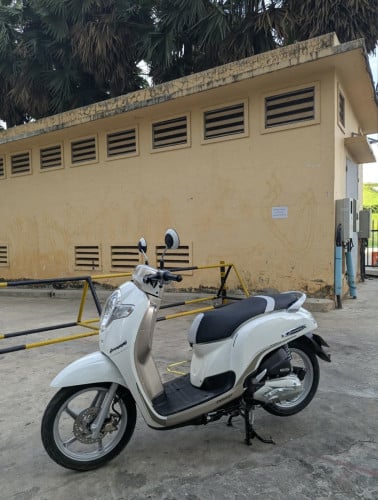 Honda Scoopy