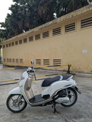 Honda Scoopy