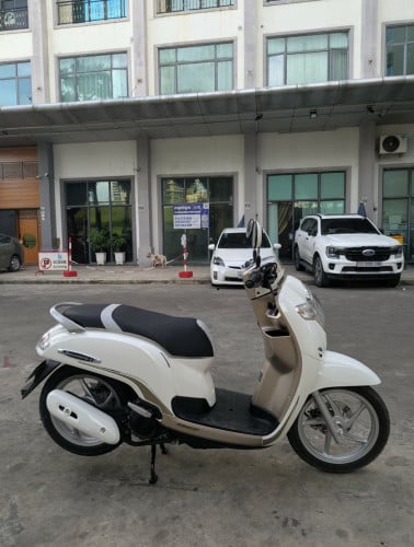 Honda Scoopy
