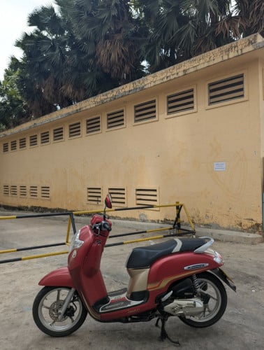 Honda Scoopy