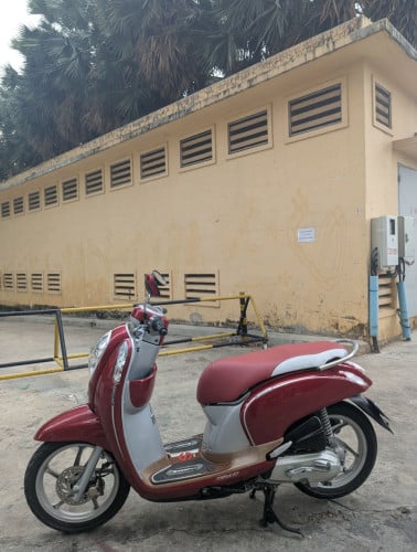 Honda Scoopy