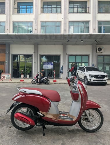 Honda Scoopy