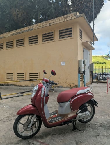 Honda Scoopy