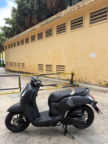 Honda Scoopy