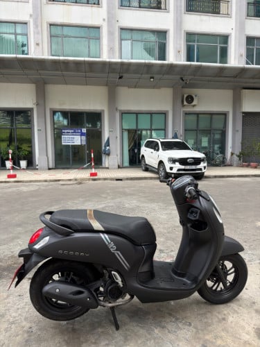 Honda Scoopy