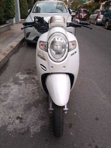 Honda scoopy