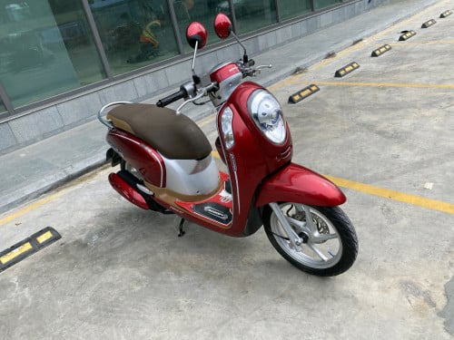 Honda scoopy 2013