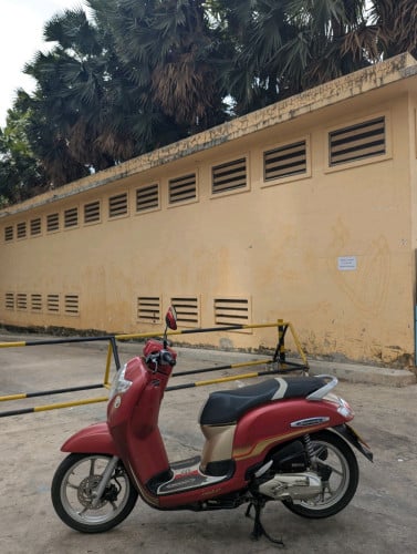Honda Scoopy