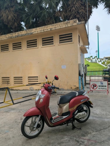 Honda Scoopy