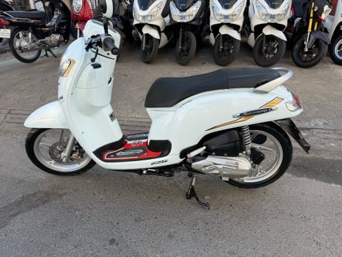 Honda scooyi