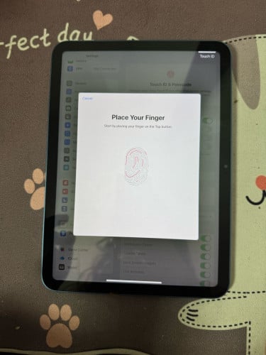iPad 10th 256GB Only WiFi តម្លៃ 270$