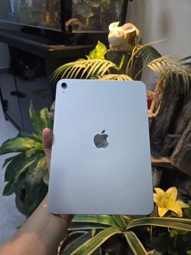 iPad (A16)