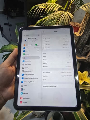 iPad (A16)