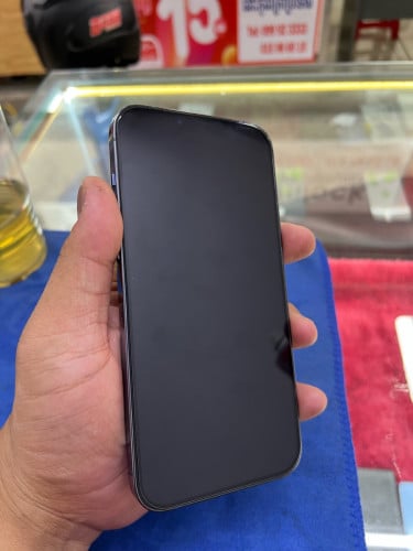 iPhone 13 Pro Max ZA 256G