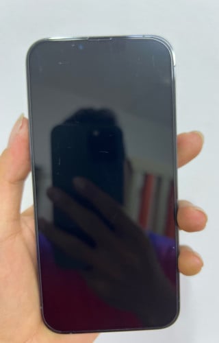 iphone 13Promax