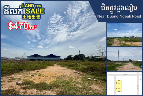 Land for Sale (200mx100m) near Duong Ngeab Road, Chom Chao Commune