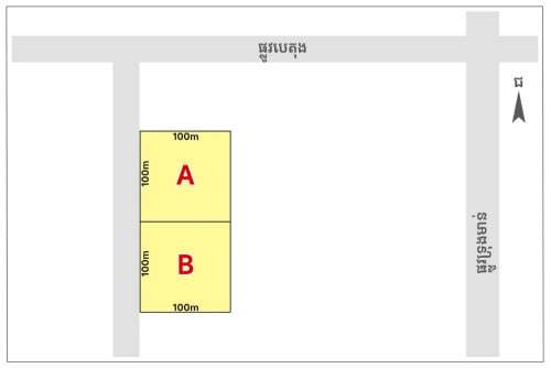 Land for Sale (200mx100m) near Duong Ngeab Road, Chom Chao Commune