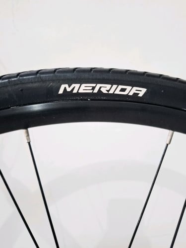MERIDA មួយទឹកUSA