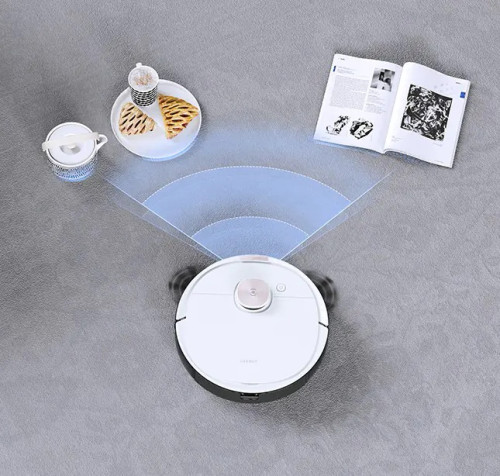 Robot cleaning