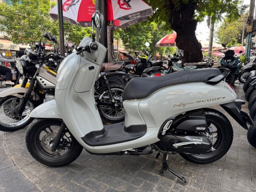 Scoops 024 ពណ៍សុីម៉ង់