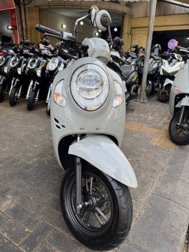 Scoops 024 ពណ៍សុីម៉ង់