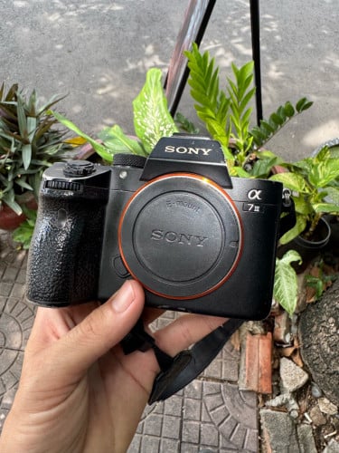 Sony A7III
