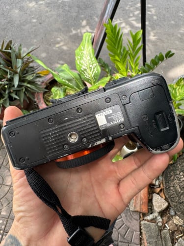 Sony A7III