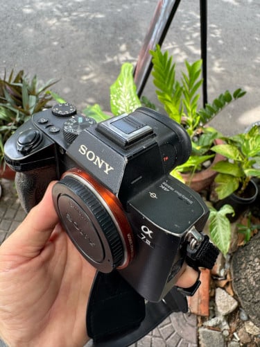 Sony A7III