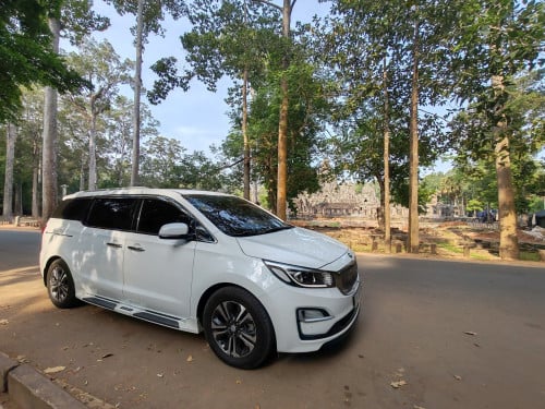 Tony car rental services